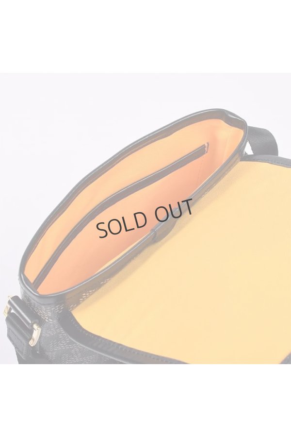 画像7: {SOLD}レザレクション|Resurrection パロット No.2{-BES} (7)