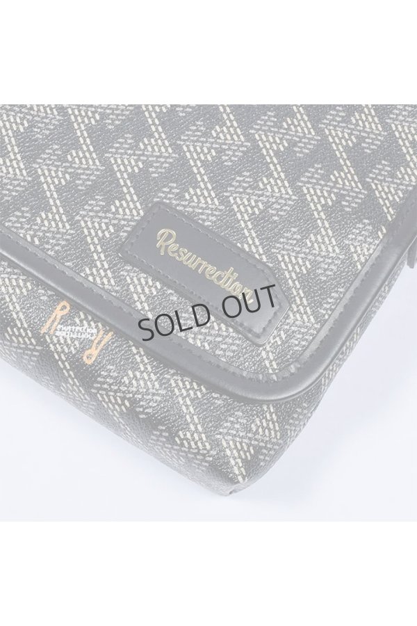 画像8: {SOLD}レザレクション|Resurrection パロット No.2{-BES} (8)