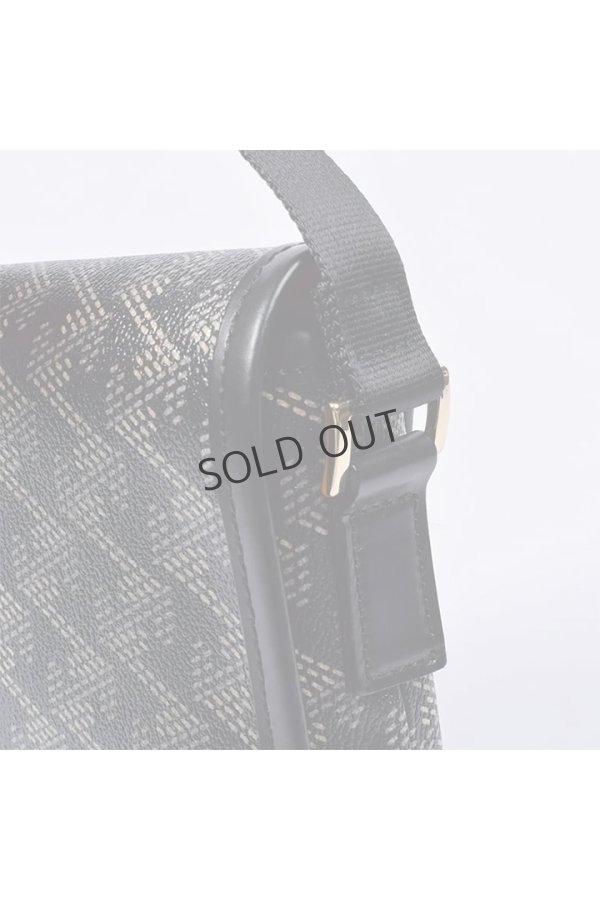 画像9: {SOLD}レザレクション|Resurrection パロット No.2{-BES} (9)