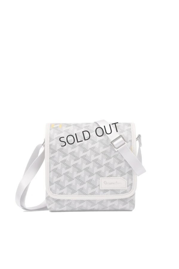 画像1: {SOLD}レザレクション｜Resurrection パロット No.2{-BES} (1)