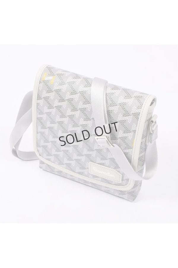 画像2: {SOLD}レザレクション｜Resurrection パロット No.2{-BES} (2)