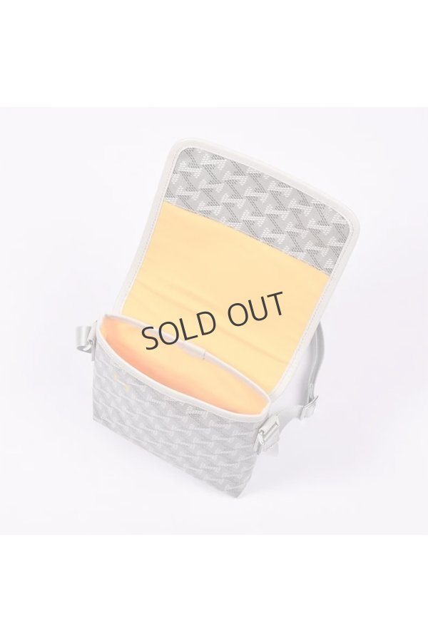 画像6: {SOLD}レザレクション｜Resurrection パロット No.2{-BES} (6)