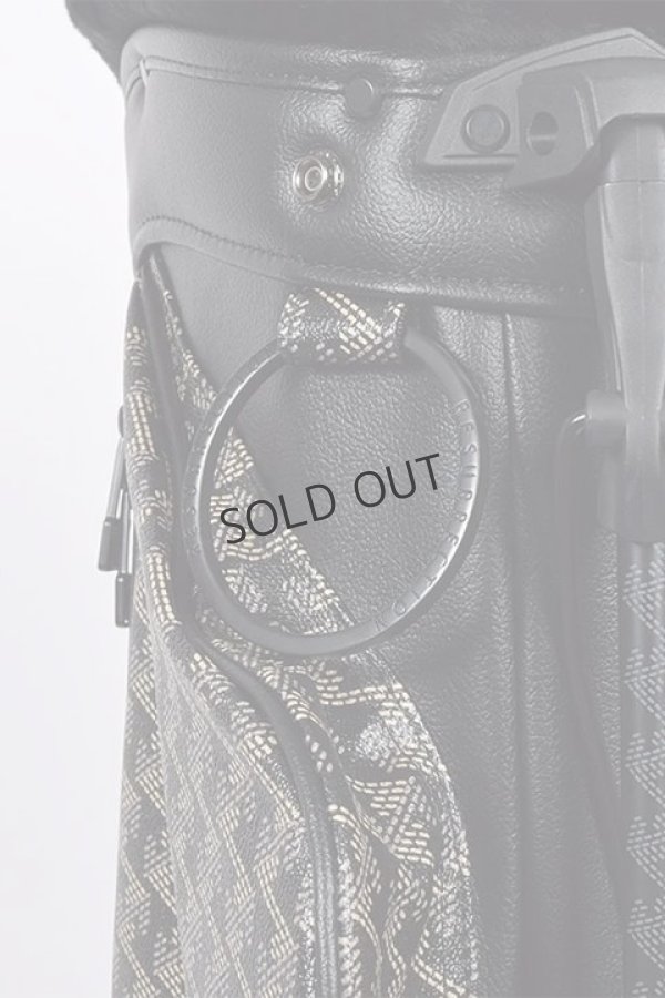 画像13: {SOLD}レザレクション|Resurrection パーヴォーNo.4{-BDA} (13)