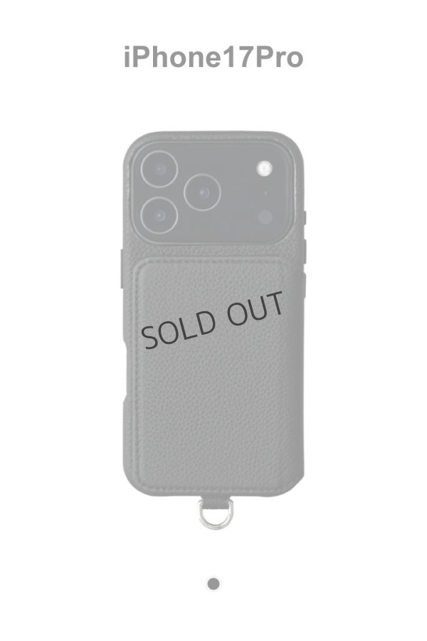 画像1: DEMIU デミュウ POCHE FLAT/iPhone17Pro (1)