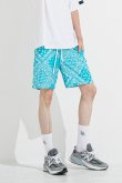 画像2: {SOLD}RESOUND CLOTHING リサウンドクロージング RUSH SHORTS{-BES} (2)