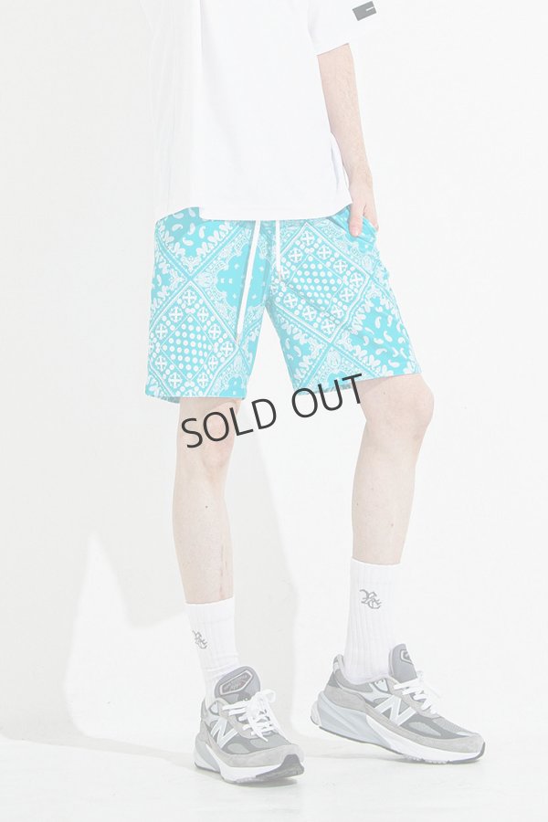 画像2: {SOLD}RESOUND CLOTHING リサウンドクロージング RUSH SHORTS{-BES} (2)