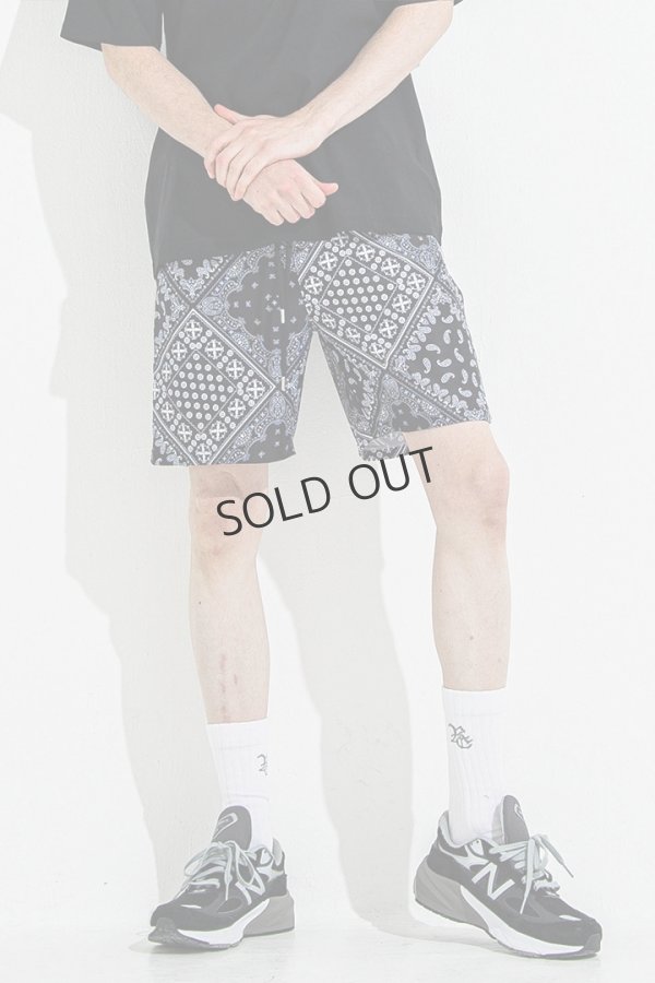 画像1: RESOUND CLOTHING リサウンドクロージング RUSH SHORTS{-BES} (1)