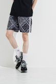 画像2: RESOUND CLOTHING リサウンドクロージング RUSH SHORTS{-BES} (2)