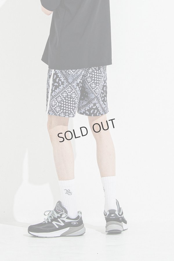 画像4: {SOLD}RESOUND CLOTHING リサウンドクロージング RUSH SHORTS{-BES} (4)