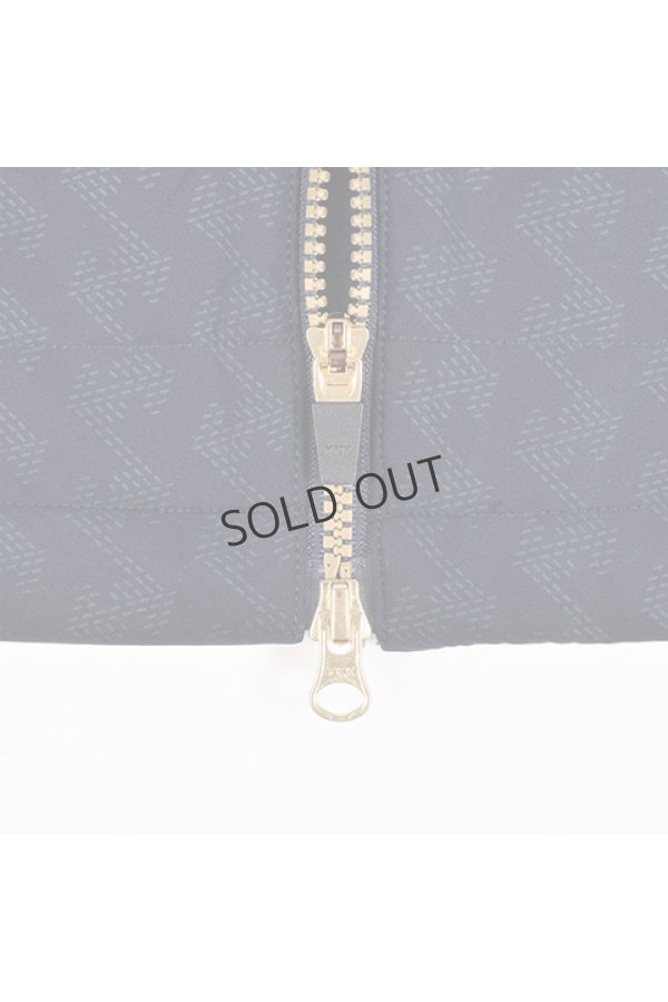 画像9: {SOLD}レザレクション|Resurrection メンズ GMエンボスパデットジャケット{-BCA} (9)