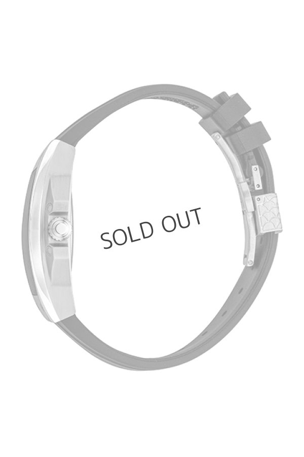 画像3: {SOLD}Roberto Cavalli by FRANCK MULLER ロベルト・カヴァリ バイ フランク・ミュラー RV1G205P1031{RCF1175-BDS}{E-} (3)