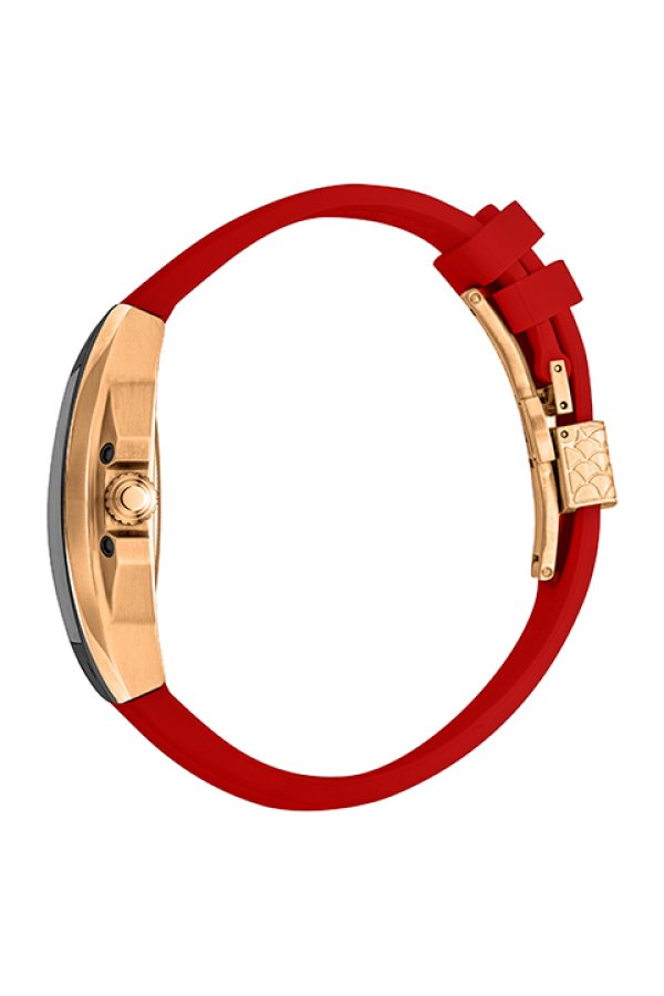 画像3: Roberto Cavalli by FRANCK MULLER ロベルト・カヴァリ バイ フランク・ミュラー RV1G205P1051{RCF1177-BDS}{E-} (3)