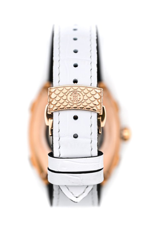画像3: 【LEON7月号掲載】Roberto Cavalli by FRANCK MULLER ロベルト・カヴァリ バイ フランク・ミュラー RV1G260L0011 PARADISE KING{RCF1309-BFS} (3)
