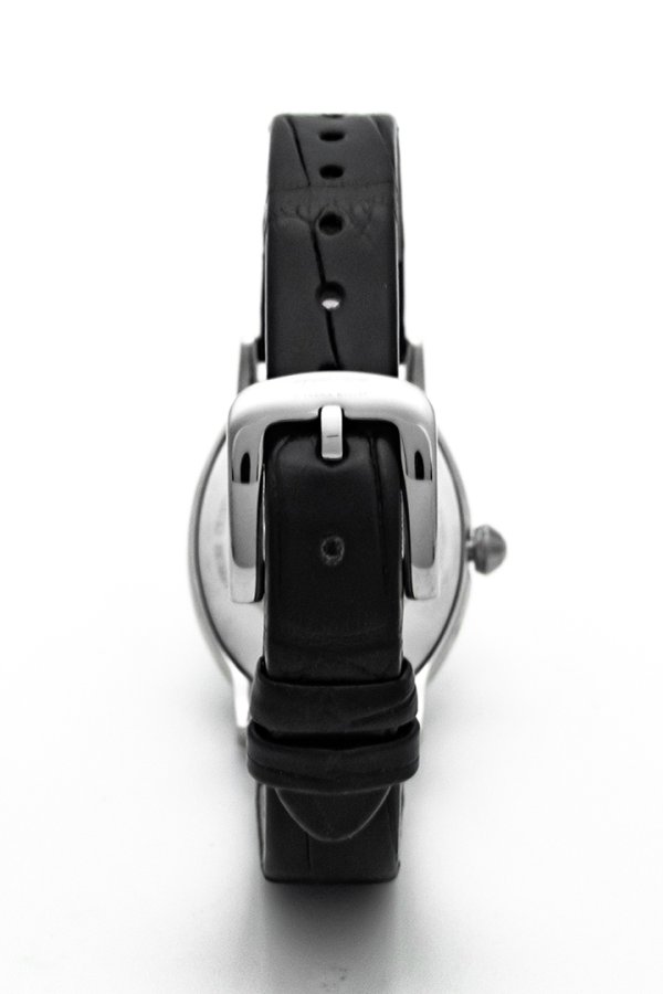 画像3: Roberto Cavalli by FRANCK MULLER ロベルト・カヴァリ バイ フランク・ミュラー RV1L222L0021{RCF1236-BES} (3)