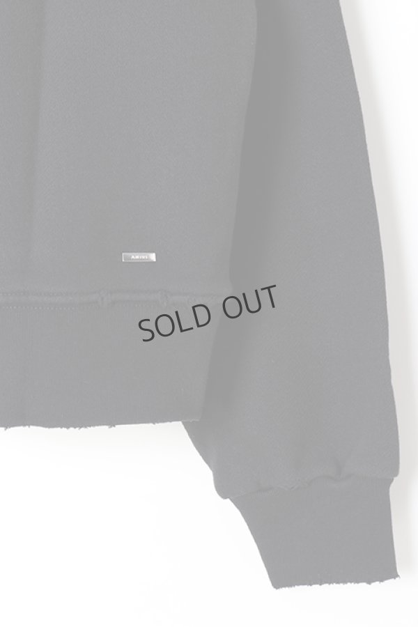 画像5: {SOLD}AMIRI アミリ AMIRI Core Crewneck{-BJS} (5)