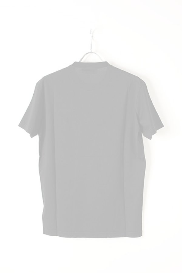 画像2:   DSQUARED2 ディースクエアード Dsquared2 Arctic Twins T-Shirt{-AIA} (2)