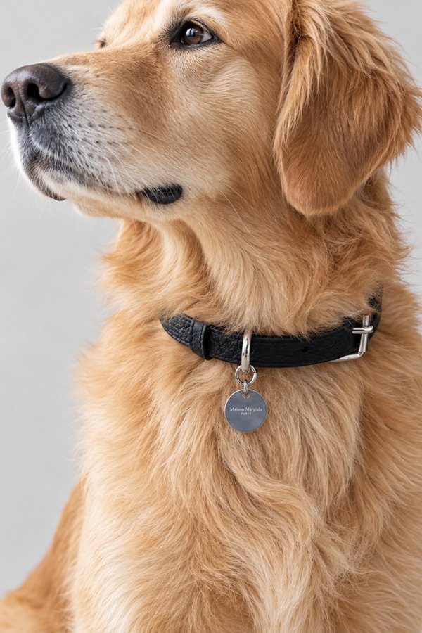 画像3: Maison Margiela メゾンマルジェラ ドッグカラー(犬用首輪){SA1VL0064P4455-T8013-BFA} (3)