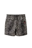 画像11: 1piu1uguale3 ウノピゥウノウグァーレトレ CRUISE AIR LEOPARD SHORTS{-BFS} (11)