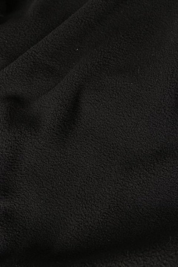 画像6: TAIN DOUBLE PUSH タインダブルプッシュ DOUBLE PUSH HALF ZIP FLEECE{-BBA} (6)
