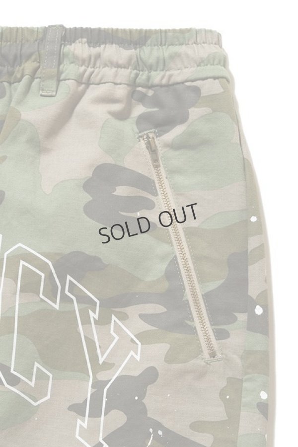 画像3: {SOLD}TAIN DOUBLE PUSH タインダブルプッシュ NO VACANCY CAMO SHORTS{-BDS} (3)