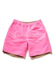 画像3: 【24SS新作】TAIN DOUBLE PUSH タインダブルプッシュ DOUBLE PUSH REVERSIBLE SHORTS{-BDS} (3)