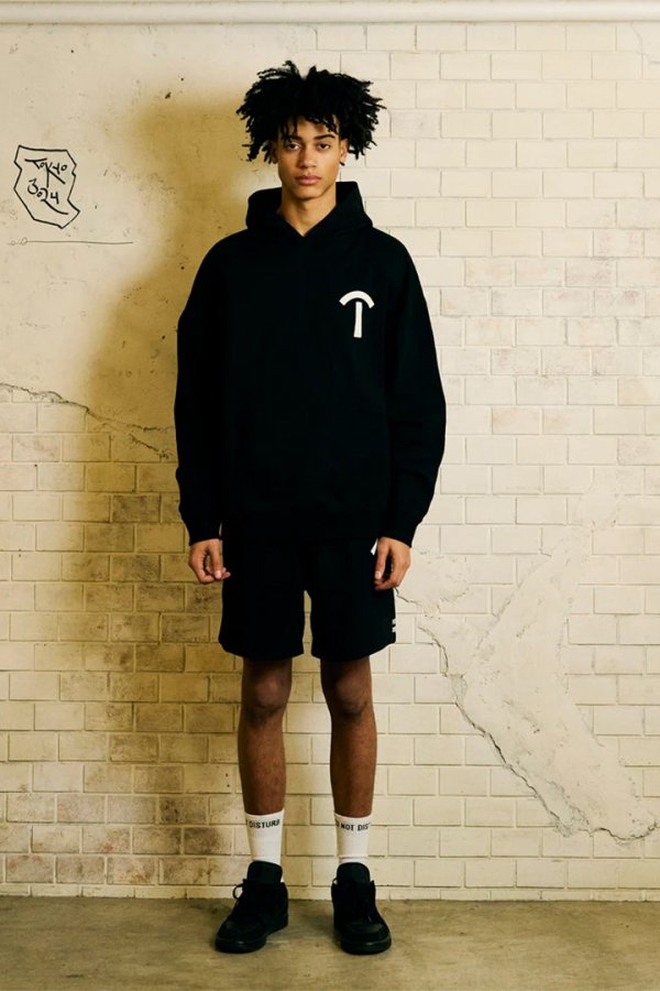 画像5: TAIN DOUBLE PUSH タインダブルプッシュ ARCH T SWEAT HOODIE{-BES} (5)