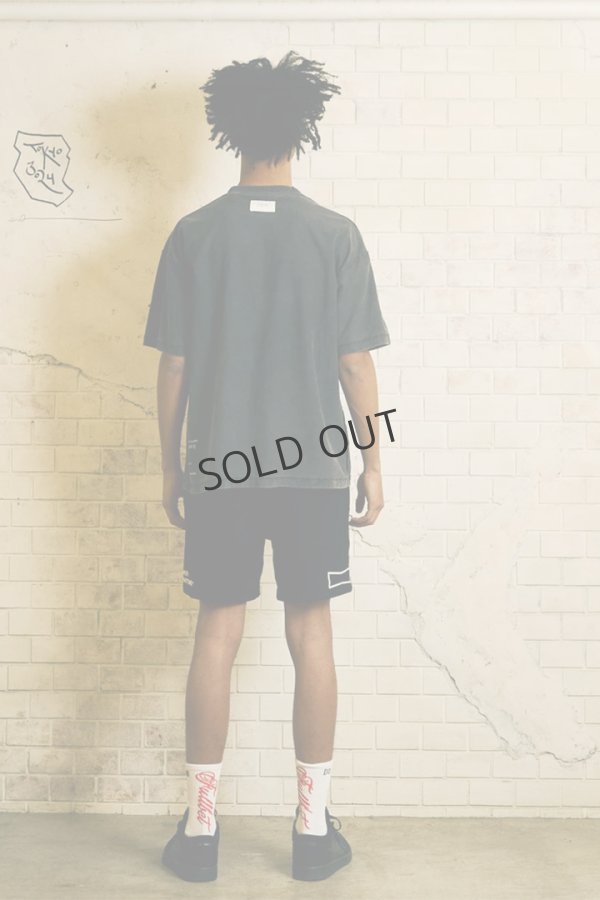画像9: {SOLD}TAIN DOUBLE PUSH タインダブルプッシュ DREAMIN’ SHORT SLEEVE T-SHIRTS{-BES} (9)