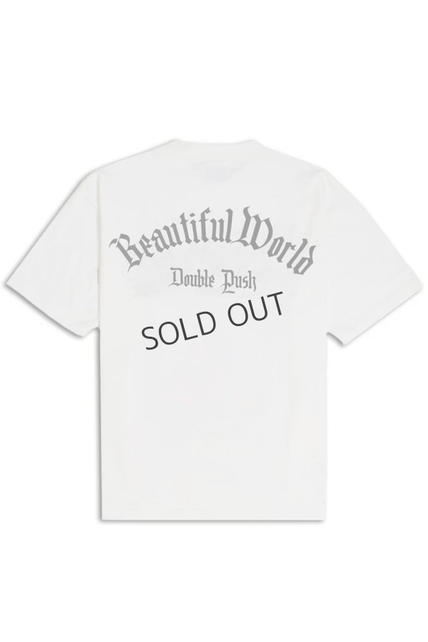 画像2: TAIN DOUBLE PUSH タインダブルプッシュ DREAMIN’ SHORT SLEEVE T-SHIRTS{-BES} (2)