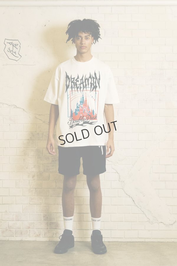画像5: TAIN DOUBLE PUSH タインダブルプッシュ DREAMIN’ SHORT SLEEVE T-SHIRTS{-BES} (5)