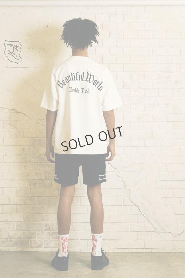 画像7: TAIN DOUBLE PUSH タインダブルプッシュ DREAMIN’ SHORT SLEEVE T-SHIRTS{-BES} (7)