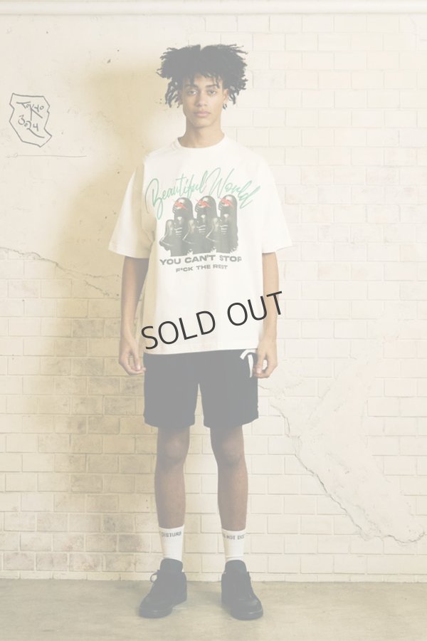 画像5: {SOLD}TAIN DOUBLE PUSH タインダブルプッシュ BEAUTIFUL WORLD SHORT SLEEVE T-SHIRTS{-BES} (5)