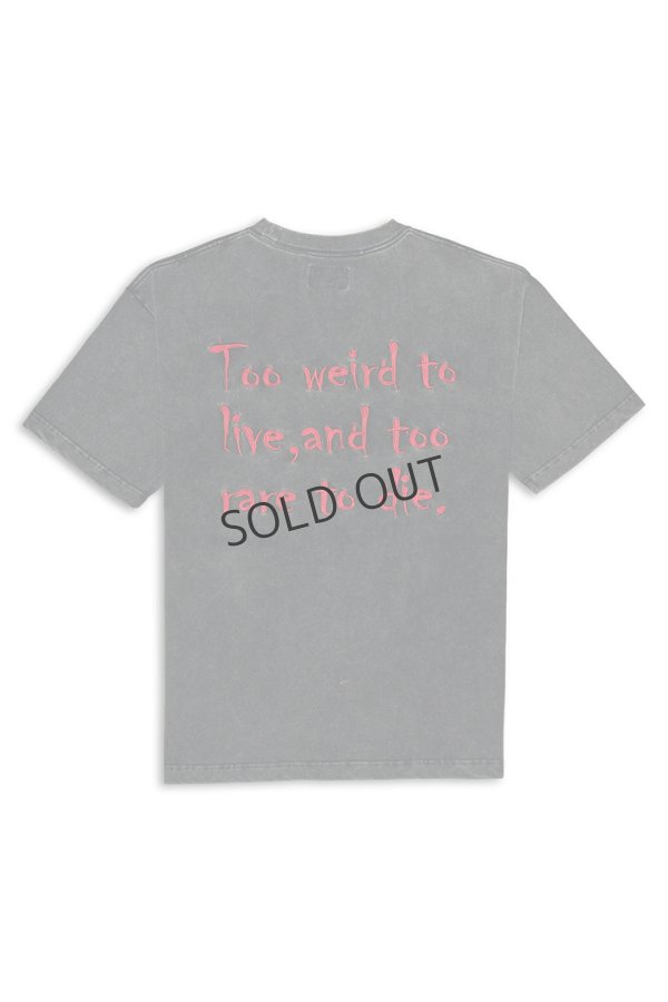 画像2: {SOLD}TAIN DOUBLE PUSH タインダブルプッシュ JOHNNY SHORT SLEEVE T-SHIRTS{-BES} (2)