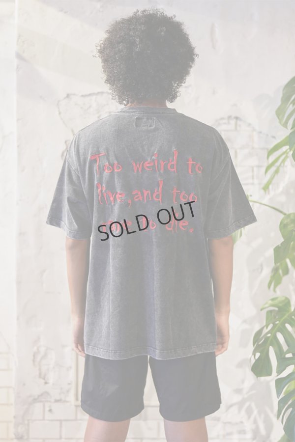 画像4: {SOLD}TAIN DOUBLE PUSH タインダブルプッシュ JOHNNY SHORT SLEEVE T-SHIRTS{-BES} (4)