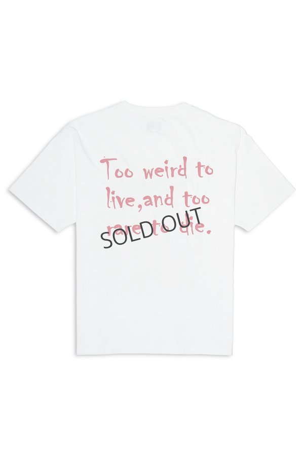 画像2: {SOLD}TAIN DOUBLE PUSH タインダブルプッシュ JOHNNY SHORT SLEEVE T-SHIRTS{-BES} (2)