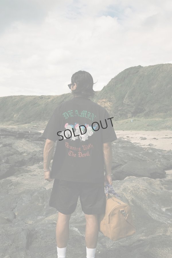 画像3: {SOLD}TAIN DOUBLE PUSH タインダブルプッシュ DREAMIN’ SHORT SLEEVE T-SHIRTS{-BEA} (3)