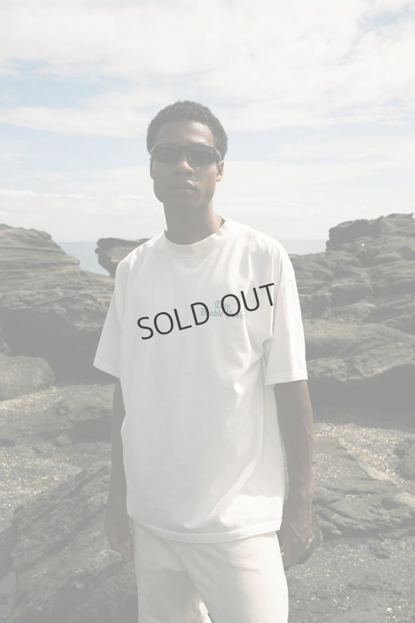 画像3: TAIN DOUBLE PUSH タインダブルプッシュ DREAMIN’ SHORT SLEEVE T-SHIRTS{-BEA} (3)