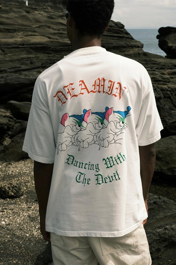 画像6: 【 20%OFF セール14,300円→11,440円】 TAIN DOUBLE PUSH タインダブルプッシュ DREAMIN’ SHORT SLEEVE T-SHIRTS{-BEA} (6)