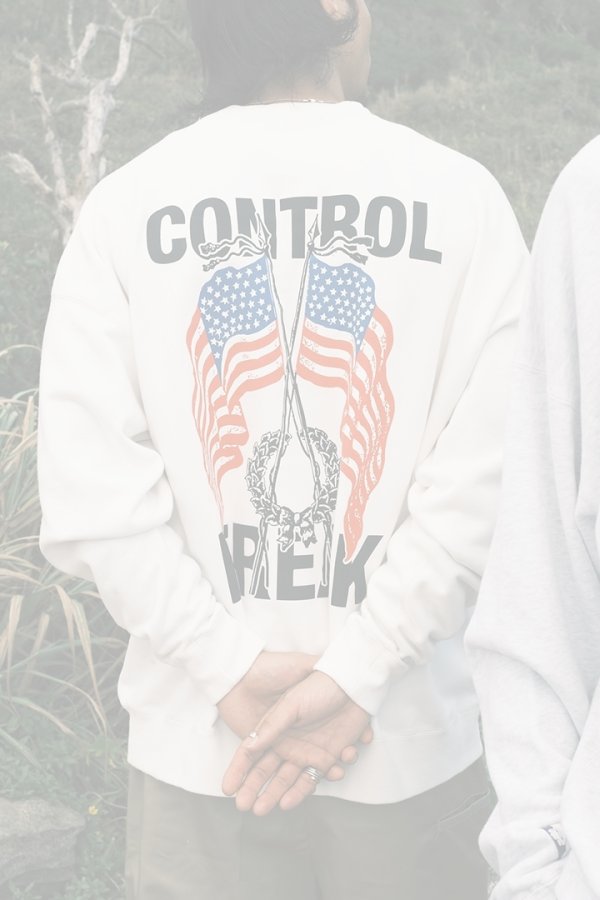 画像4: TAIN DOUBLE PUSH タインダブルプッシュ CREW NECK SWEAT{-BEA} (4)