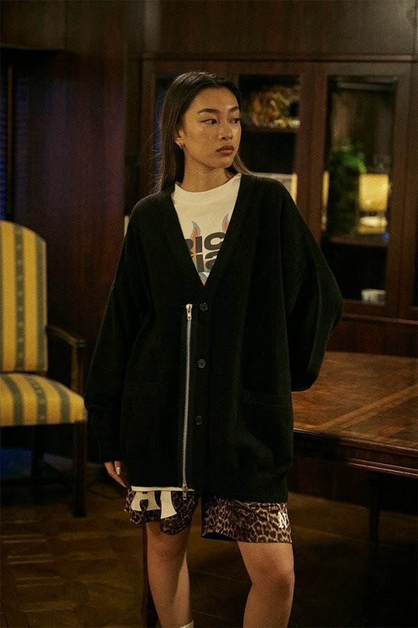 画像4: TAIN DOUBLE PUSH タインダブルプッシュ KNIT ZIP CARDIGAN{-BFS} (4)