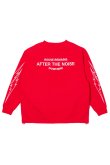 画像12: TAIN DOUBLE PUSH タインダブルプッシュ AFTER THE NOISE CREW NECK SWEAT{-BFA} (12)