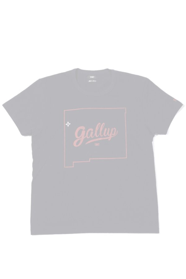画像1:   TMT ティーエムティー S/SL 19/1 RAFI JERSEY(GALLUP){-AHA} (1)