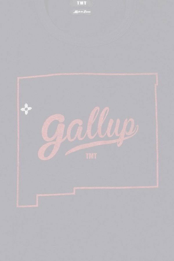 画像5:   TMT ティーエムティー S/SL 19/1 RAFI JERSEY(GALLUP){-AHA} (5)