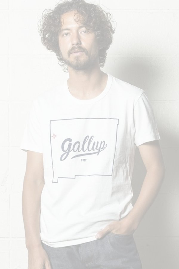 画像1:   TMT ティーエムティー S/SL 19/1 RAFI JERSEY(GALLUP){-AHA} (1)