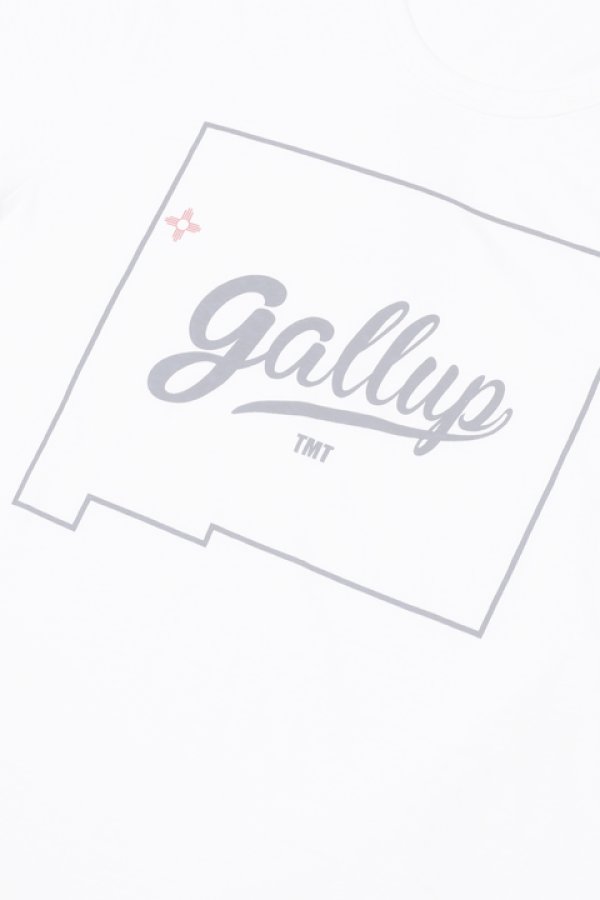 画像4:   TMT ティーエムティー S/SL 19/1 RAFI JERSEY(GALLUP){-AHA} (4)