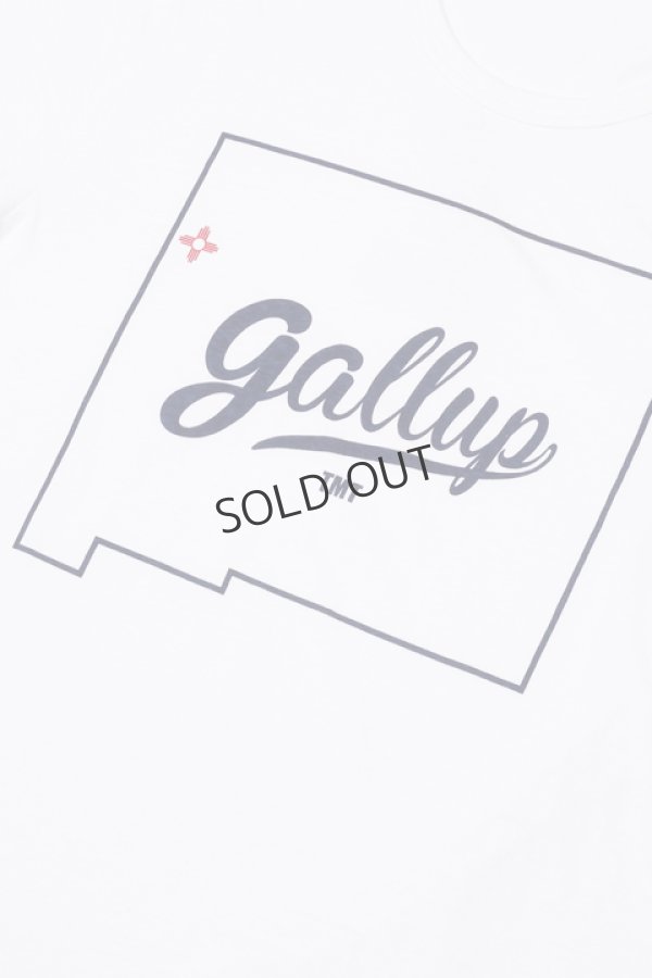 画像4: {SOLD}TMT ティーエムティー S/SL 19/1 RAFI JERSEY(GALLUP){-AHA} (4)