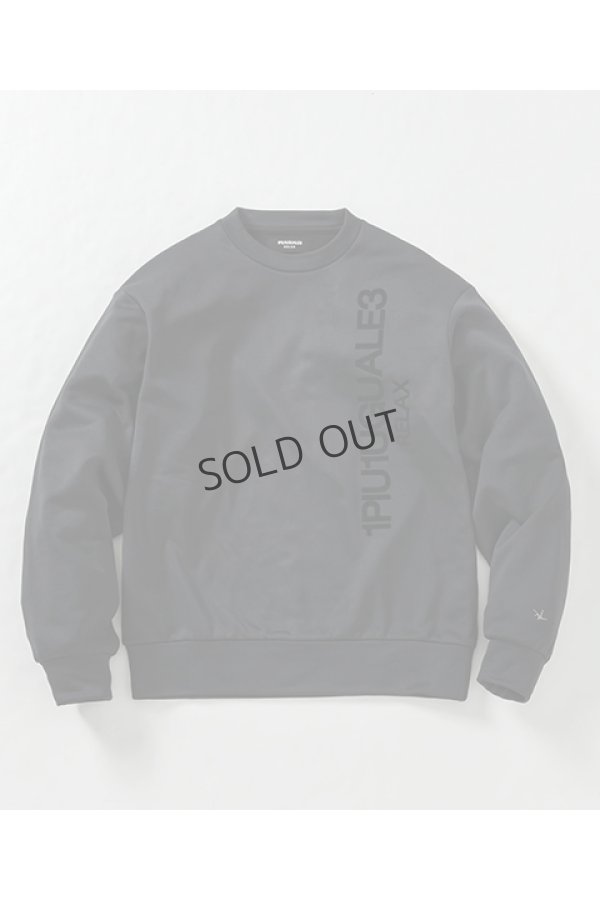 画像8: {SOLD}1piu1uguale3 RELAX ウノピゥウノウグァーレトレ リラックス ポーラテック縦ロゴプルオーバー{-BDA} (8)