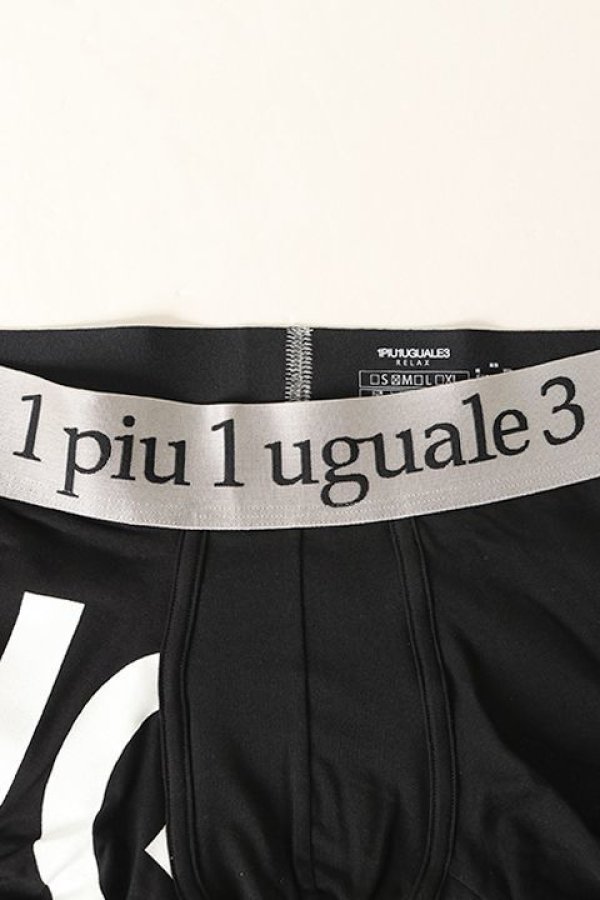 画像4: 【 30%OFF セール3,960円→2,772円】 1piu1uguale3 RELAX ウノピゥウノウグァーレトレ リラックス BIG LOGO BOXER PANTS{-BJA} (4)