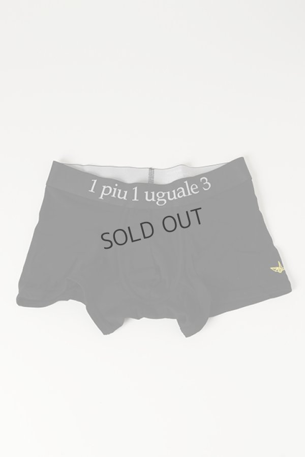画像1: 1piu1uguale3 RELAX ウノピゥウノウグァーレトレ リラックス BACK PRINT LOGO BOXER PANTS{-BBS} (1)