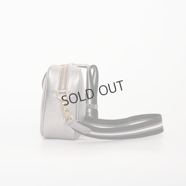 画像3: {SOLD}VIOLAd'ORO ヴィオラドーロ SHIMMER メタリックレザーカメラバッグ{-BFS} (3)