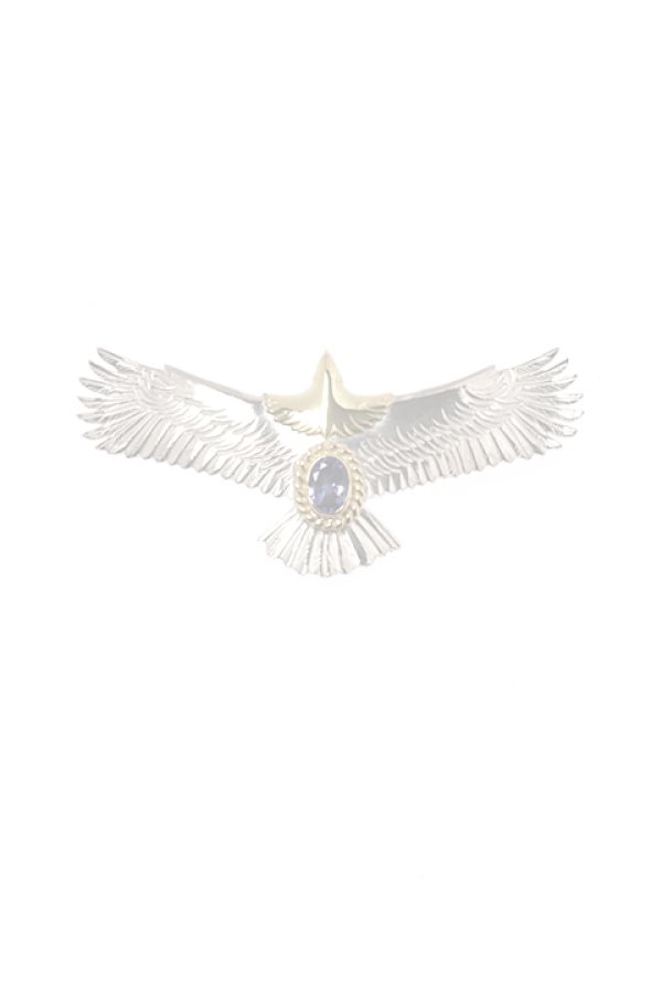 画像1:  {SOLD} Taro Washimi タロウ ワシミ 鷲見太郎 eagle eg-02 / TANZANITE {-BJA}  :WT-202012-17-F  (1)